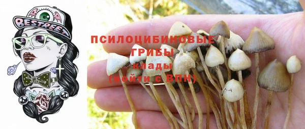 винт Арсеньев