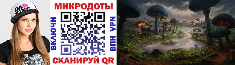 OMG вход Нефтекумск Галлюциногенные грибы Cubensis