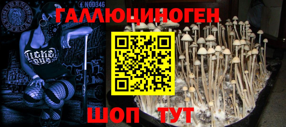 как найти   Вход с VPN  Нефтекумск  Псилоцибиновые грибы мицелий 