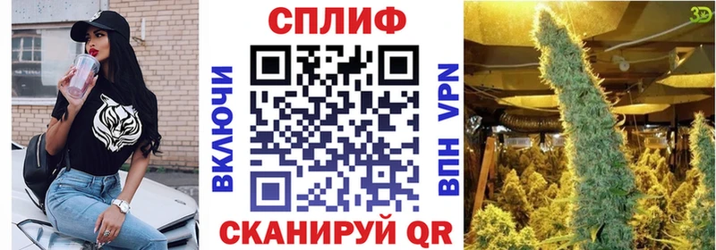мориарти какой сайт Нефтекумск Конопля OG Kush купить наркотики сайты